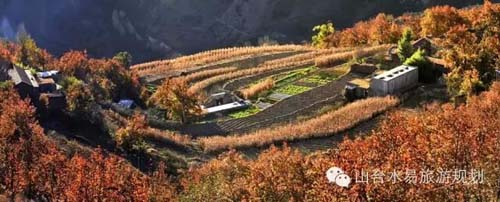 國(guó)家出臺(tái)《美麗鄉(xiāng)村建設(shè)指南》