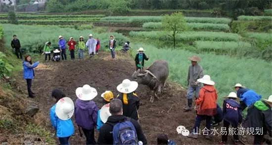 休閑農(nóng)業(yè)+文化，助力鄉(xiāng)村旅游“品味”升級!