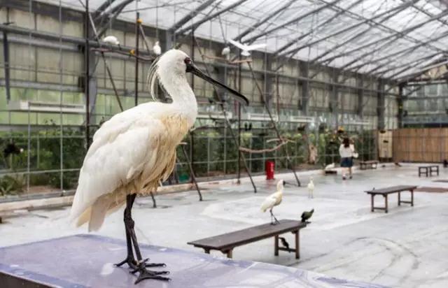 掛川花鳥園