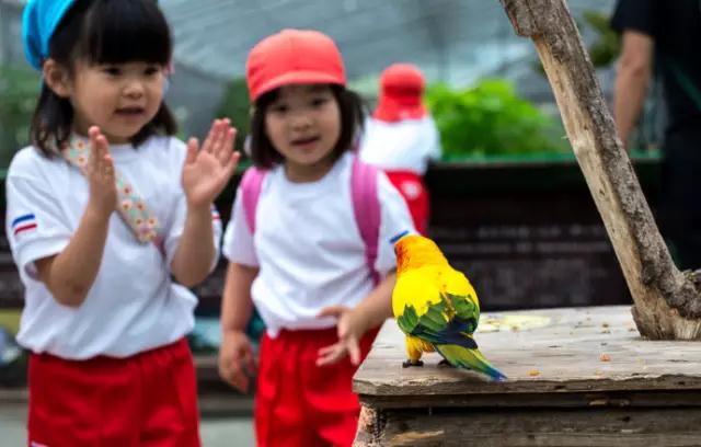 掛川花鳥園