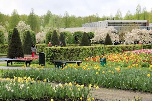 荷蘭庫(kù)肯霍夫公園——被譽(yù)為“世界上最美麗的春季公園”