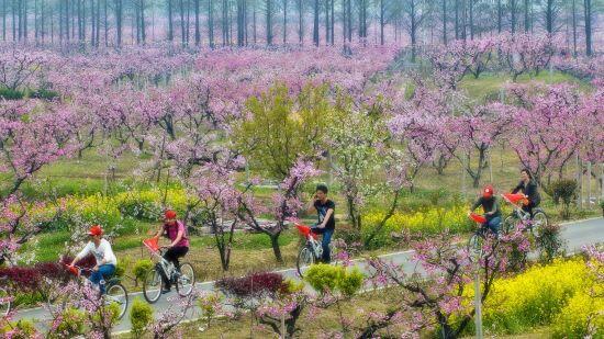 田園綜合體規(guī)劃,田園綜合體規(guī)劃,農(nóng)業(yè)旅游規(guī)劃