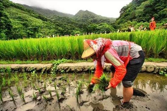 休閑農(nóng)業(yè)規(guī)劃,農(nóng)業(yè)旅游規(guī)劃,田園綜合體規(guī)劃