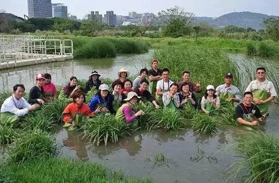 田園綜合體規(guī)劃,田園綜合體規(guī)劃,農(nóng)業(yè)旅游規(guī)劃