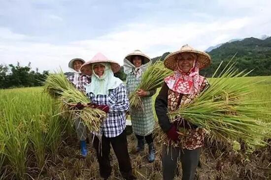 休閑農(nóng)業(yè)規(guī)劃,農(nóng)業(yè)旅游規(guī)劃,田園綜合體規(guī)劃