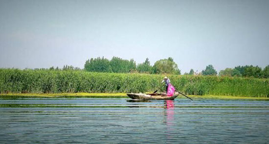 美麗鄉(xiāng)村規(guī)劃,美麗鄉(xiāng)村設計,鄉(xiāng)村旅游規(guī)劃,鄉(xiāng)村旅游設計