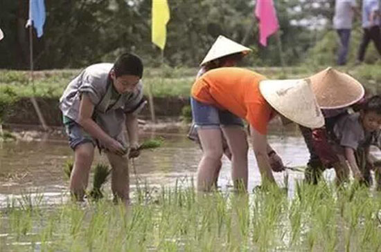 田園綜合體規(guī)劃,田園綜合體規(guī)劃,農(nóng)業(yè)旅游規(guī)劃